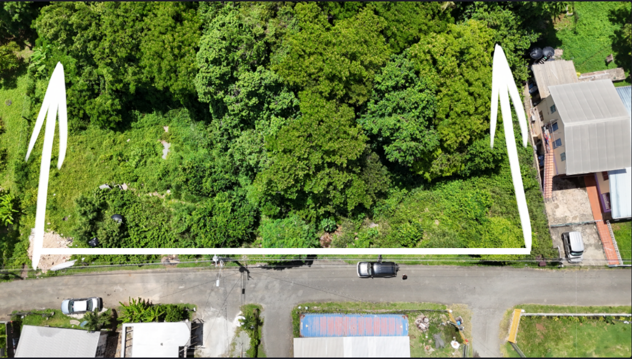 Screenshot 2025-10-22 105134